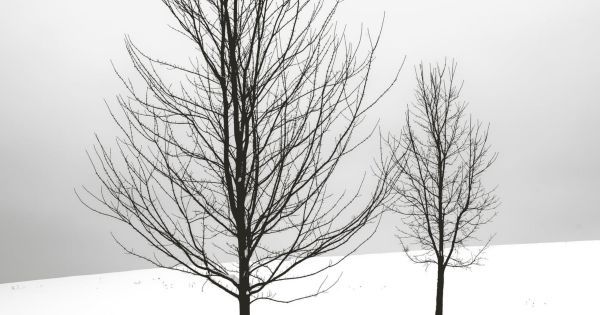 SIBERIA