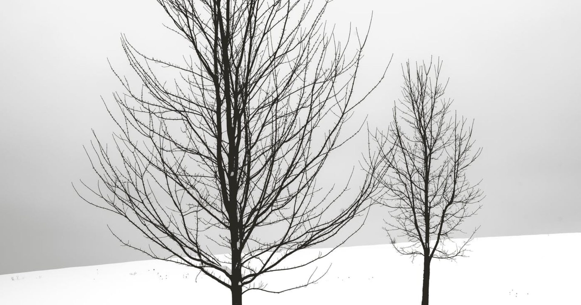 SIBERIA